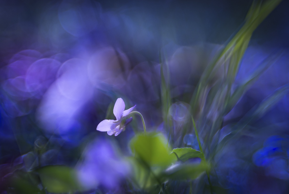 Platz 7 Sieglinde Senser